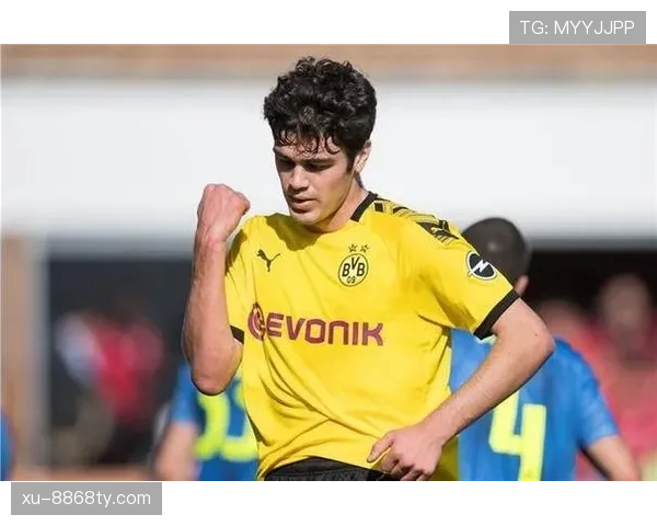 多特蒙德，管理层的犹豫是衰落之因吗？